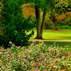 Herbst im Park