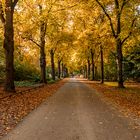 Herbst im Park