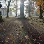 Herbst im Park