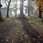 Herbst im Park