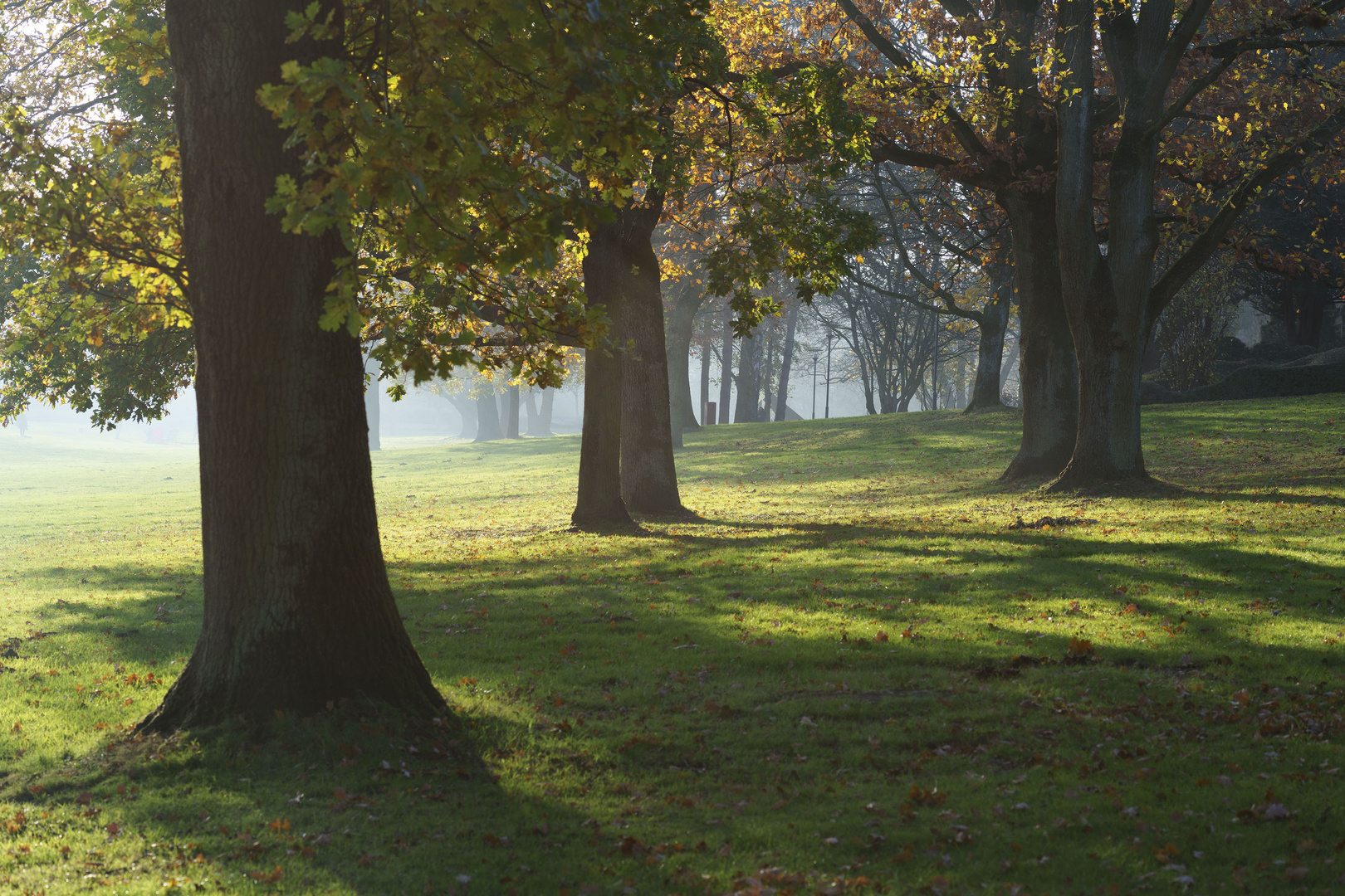 Herbst im Park