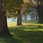 Herbst im Park