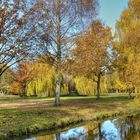 Herbst im Park