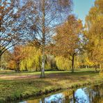 Herbst im Park