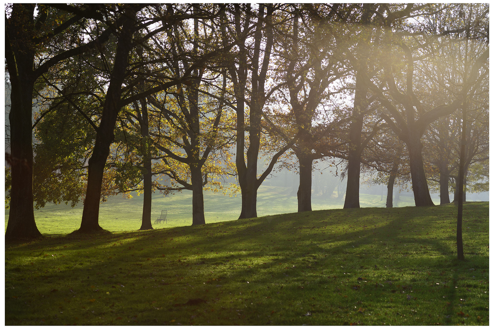 Herbst im Park