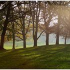 Herbst im Park