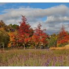 Herbst im "Park der Generationen"