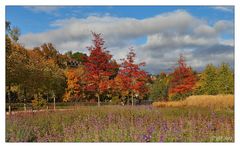 Herbst im "Park der Generationen"