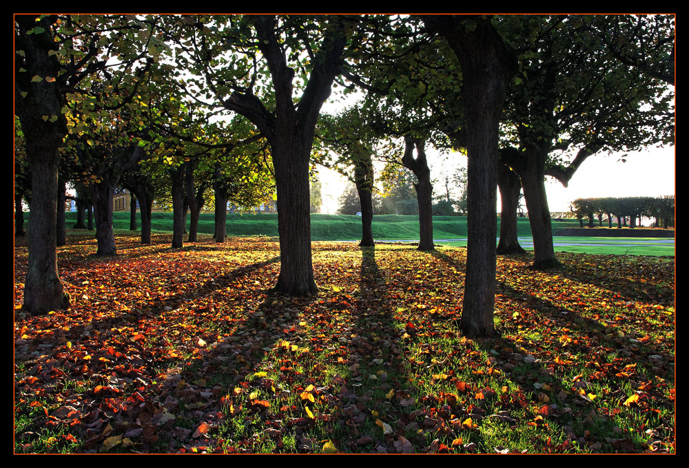 Herbst im Park