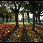 Herbst im Park