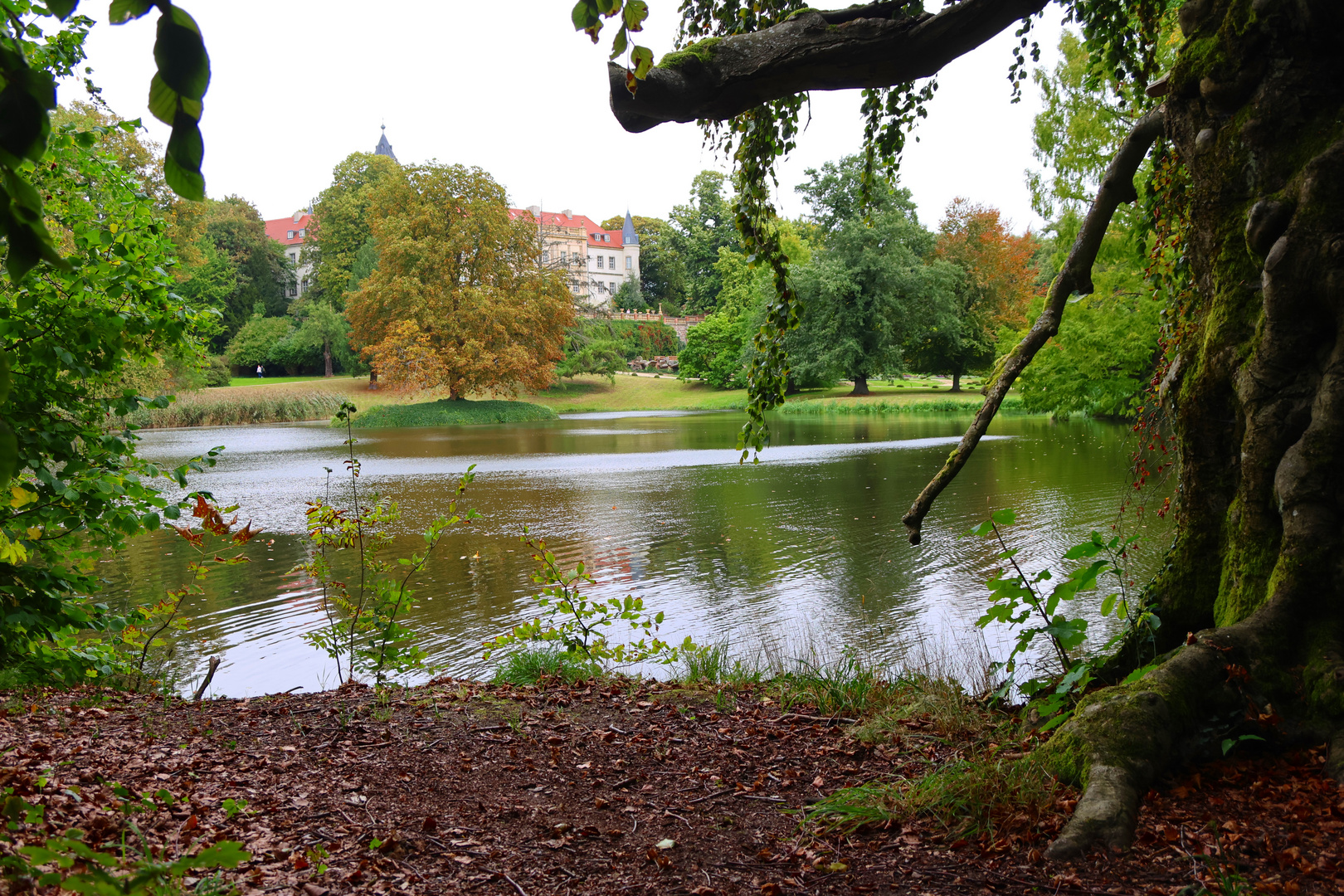 Herbst im Park