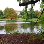 Herbst im Park