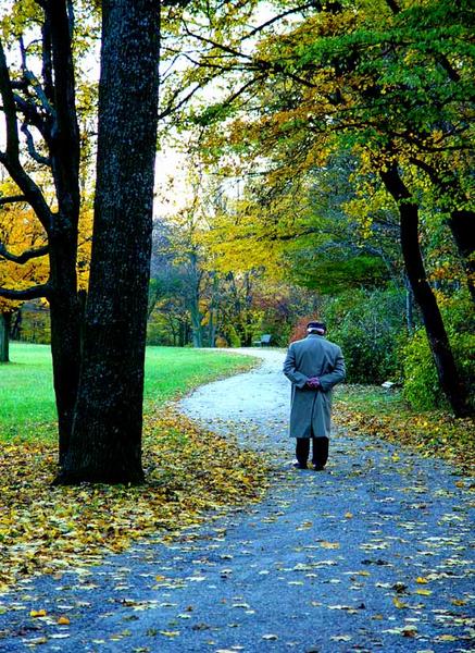 Herbst im Park