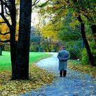 Herbst im Park