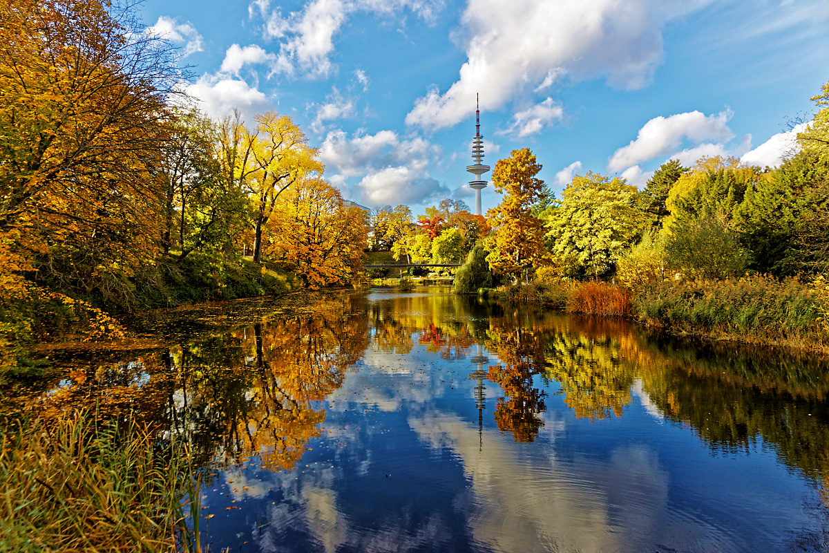 Herbst im Park