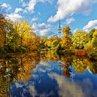 Herbst im Park