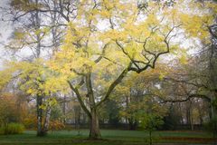 herbst im park