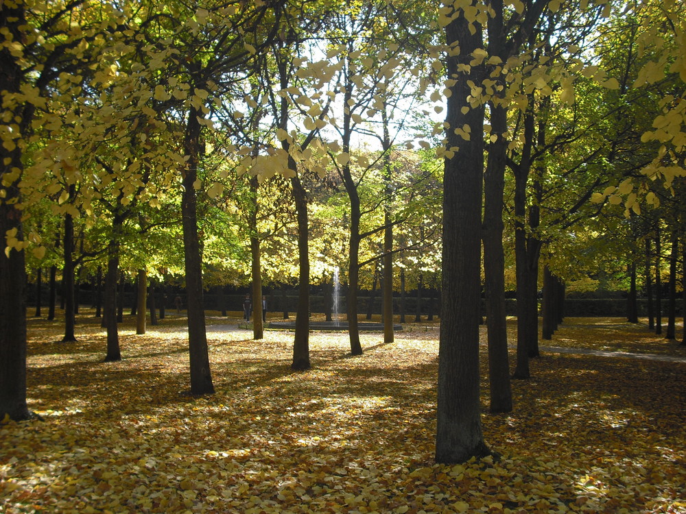 Herbst im Park