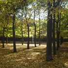 Herbst im Park