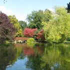 Herbst im Park