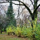 - -  HERBST  im  PARK  - -