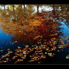 Herbst im Park