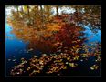 Herbst im Park by Thomas Gast