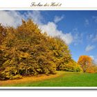 Herbst im Park.....