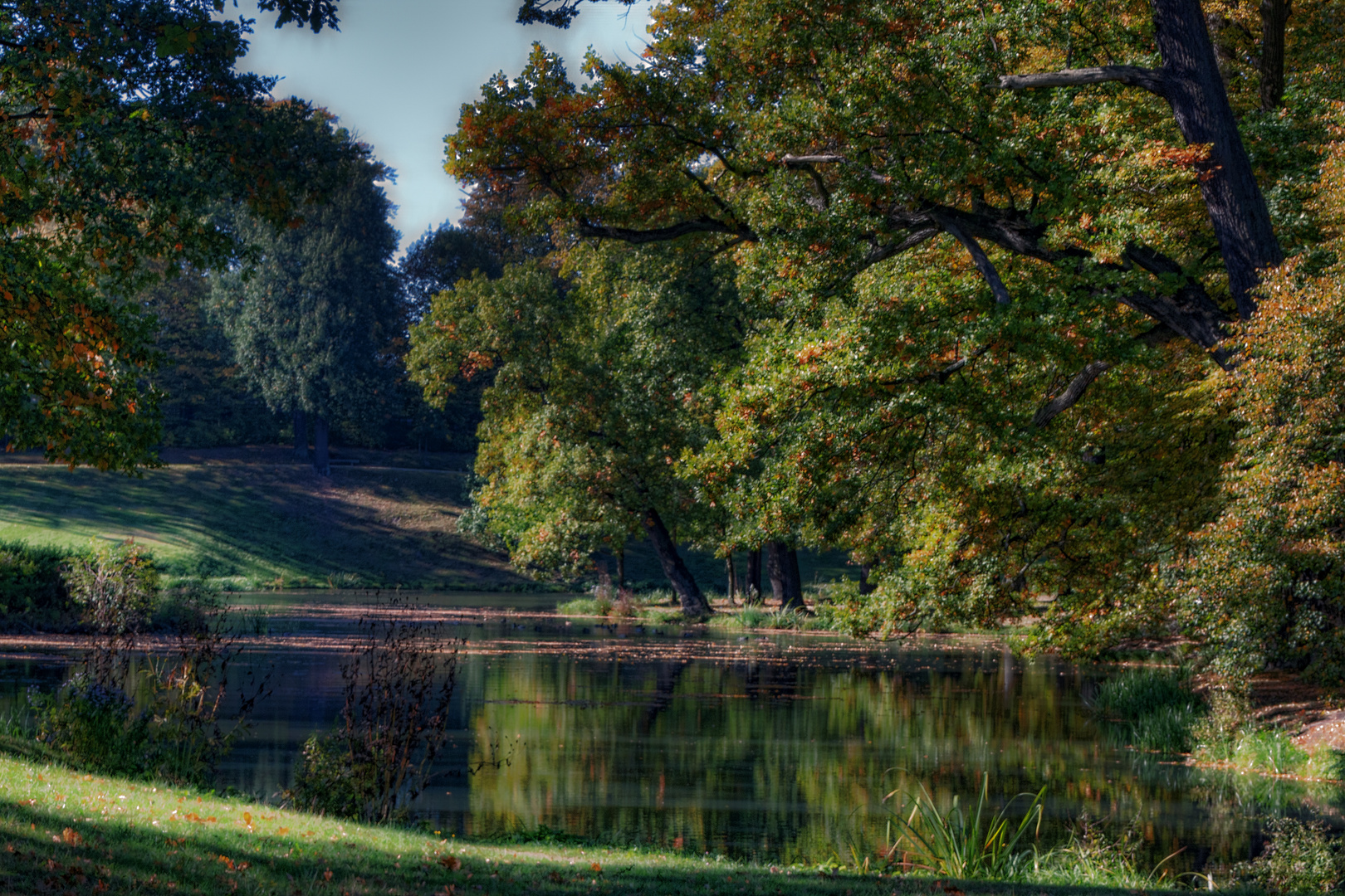 Herbst im Park