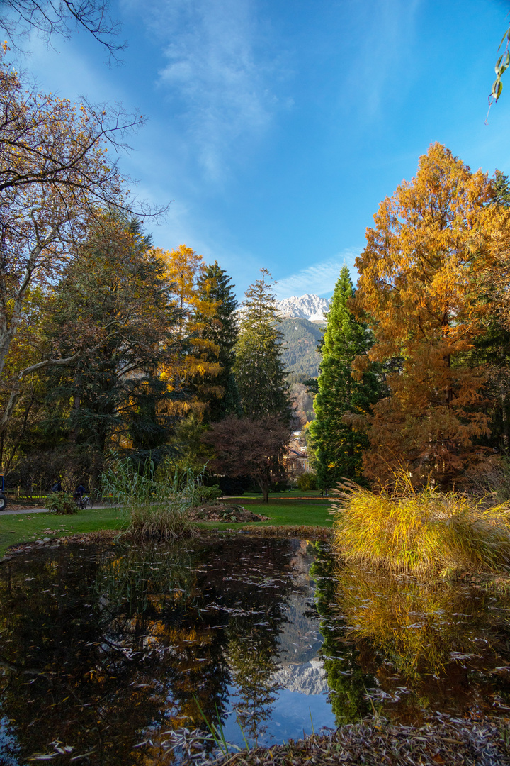 Herbst im Park