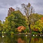 Herbst im Park