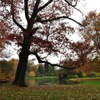 Herbst im Park