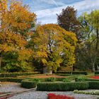 Herbst im Park