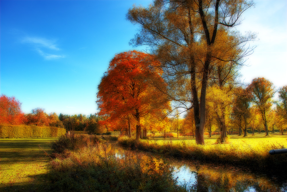 Herbst im Park I