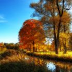 Herbst im Park I