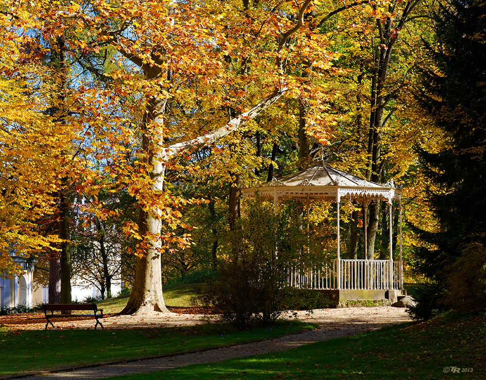 Herbst im Park - II -