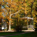 Herbst im Park - II -