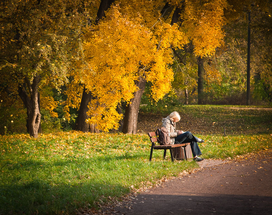 Herbst im Park II