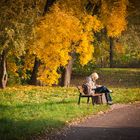 Herbst im Park II