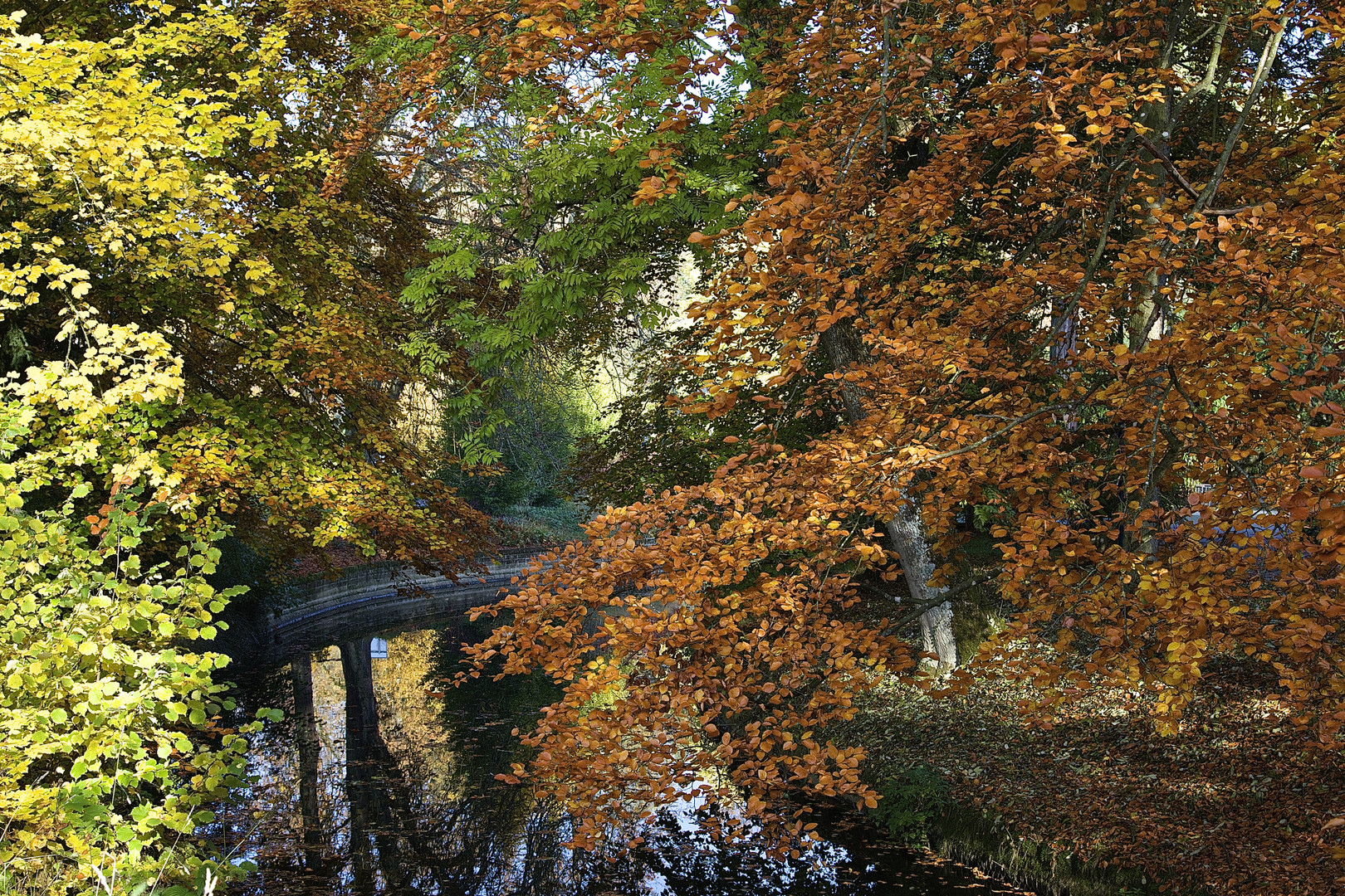 Herbst im Park II