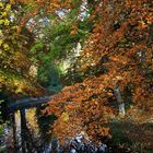 Herbst im Park II