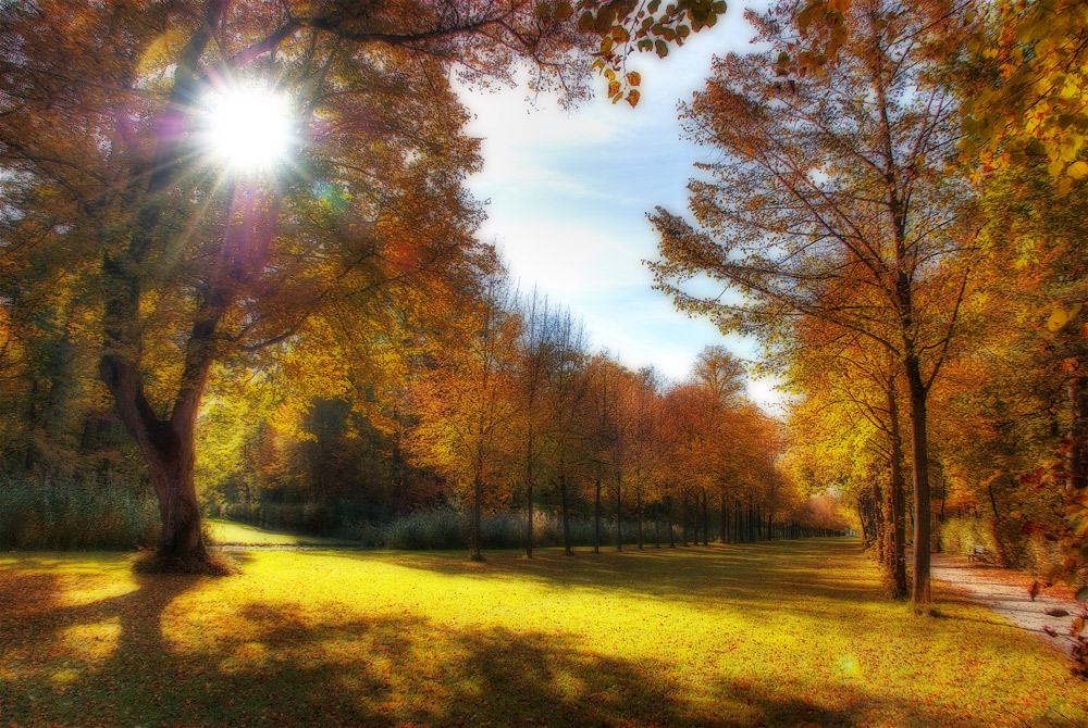 Herbst im Park III