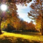 Herbst im Park III