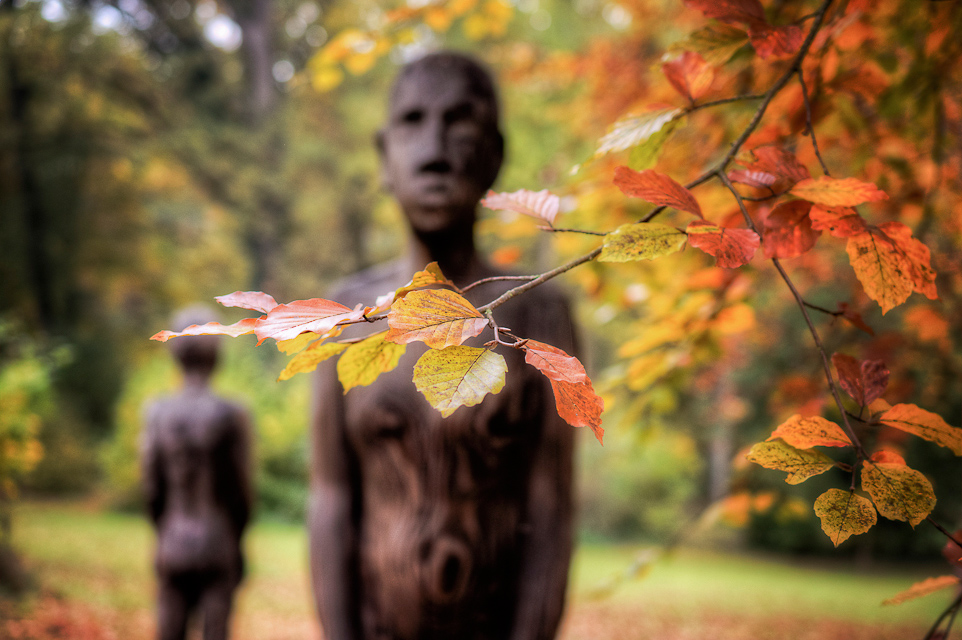 Herbst im Park III