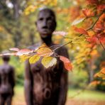 Herbst im Park III