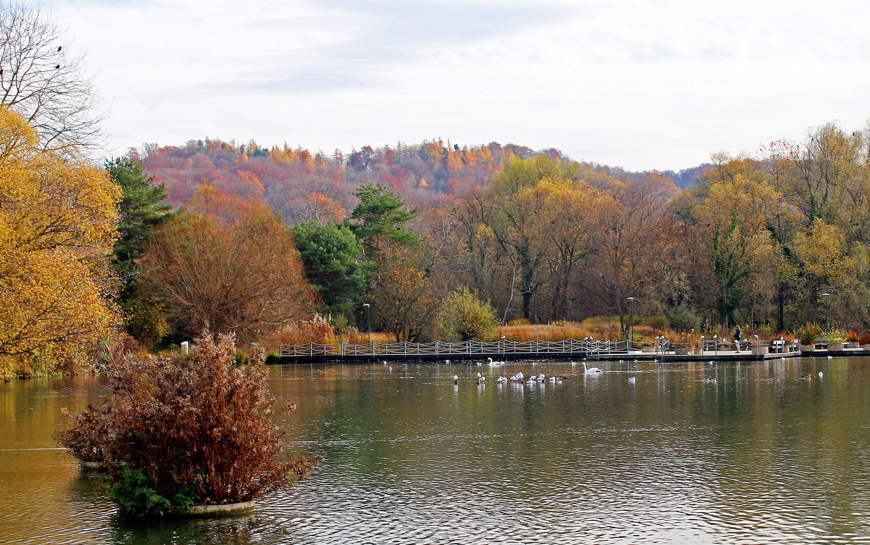 Herbst im Park im Grünen