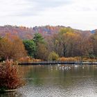 Herbst im Park im Grünen