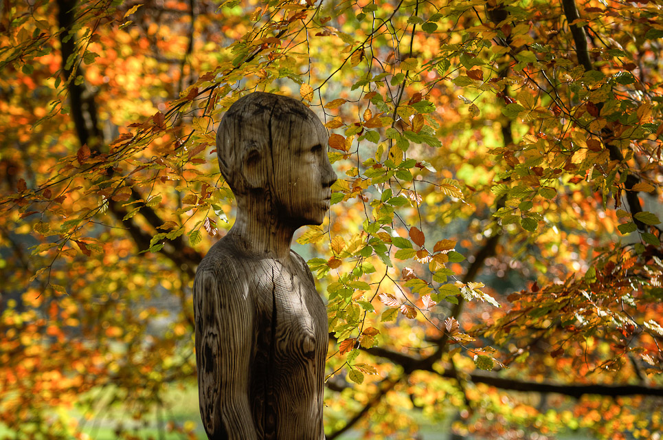 Herbst im Park IV