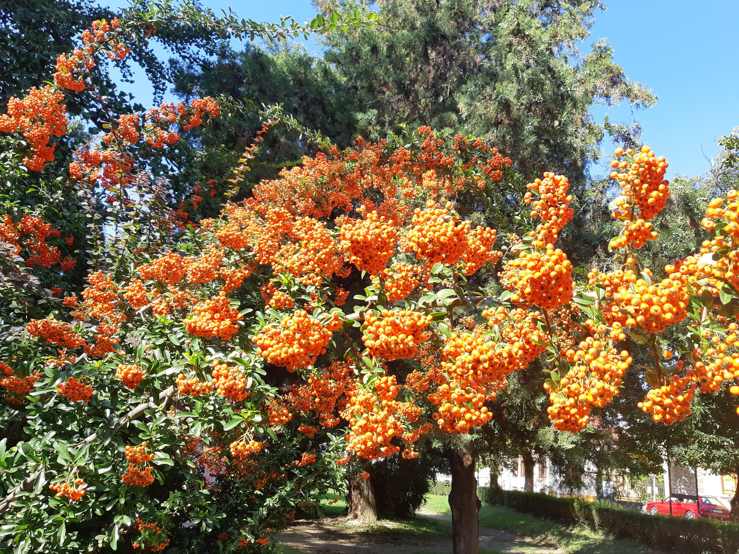 Herbst im Park -Köszeg