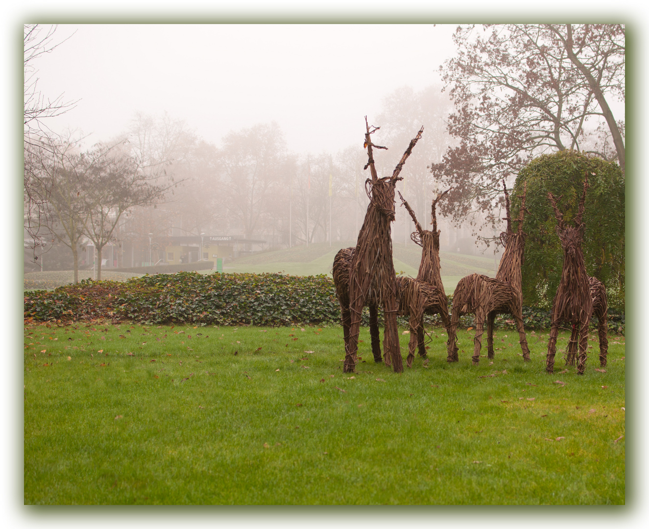 Herbst im Park -Luisenpark, Mannheim 2014